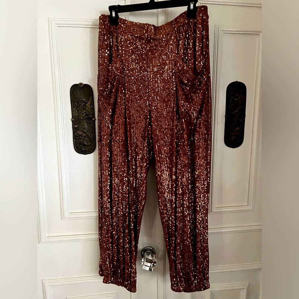 Beautiful bronze copper colored sequin pants Large